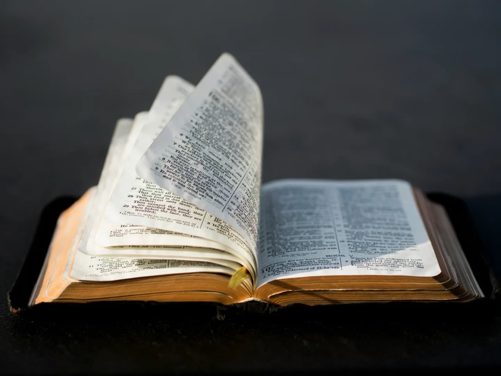 An open Bible lit by warm light